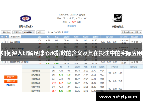如何深入理解足球心水指数的含义及其在投注中的实际应用
