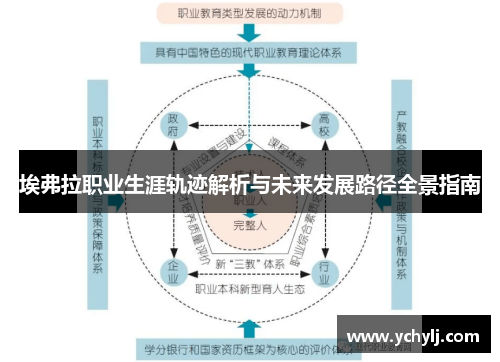埃弗拉职业生涯轨迹解析与未来发展路径全景指南