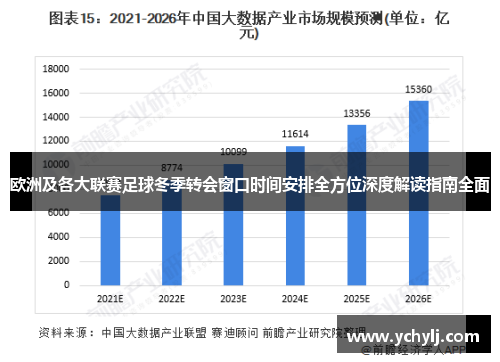 欧洲及各大联赛足球冬季转会窗口时间安排全方位深度解读指南全面 欧洲及各大联赛足球冬季转会窗口时间安排全方位深度解读指南全面